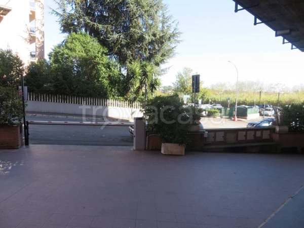 appartamento in affitto a Roma in zona Trionfale