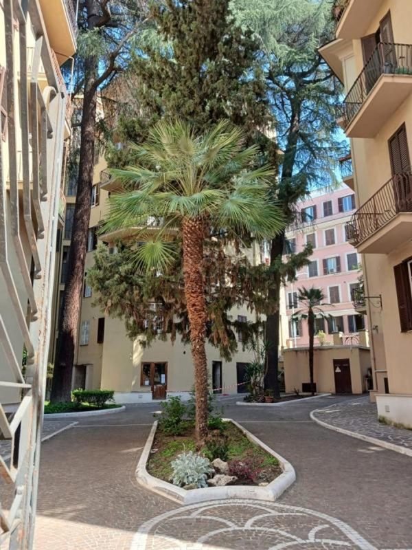 appartamento in affitto a Roma in zona Parioli