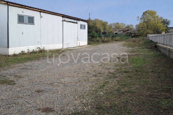 appartamento in affitto a Roma in zona Parioli