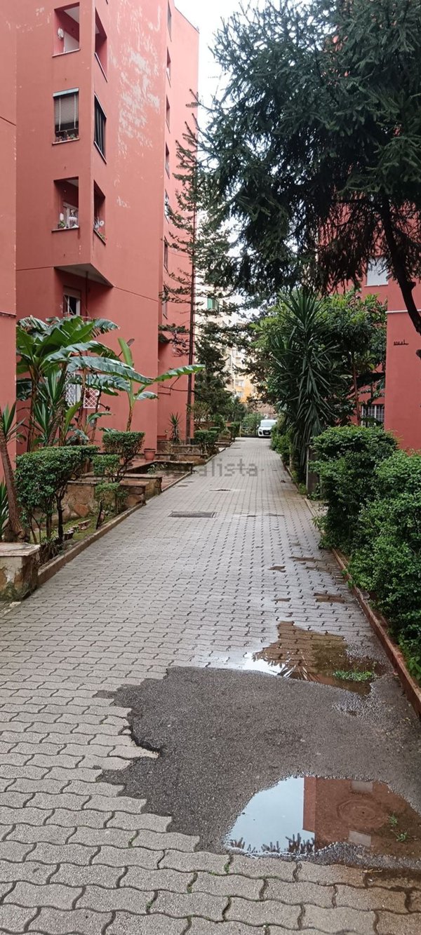 appartamento in affitto a Roma in zona Don Bosco