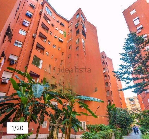 appartamento in affitto a Roma in zona Don Bosco