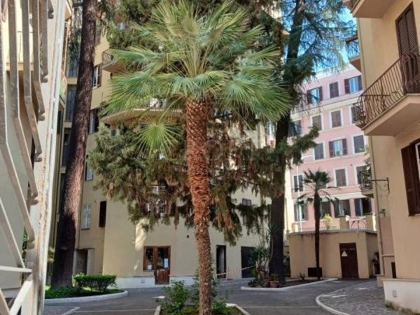 appartamento in affitto a Roma in zona Parioli