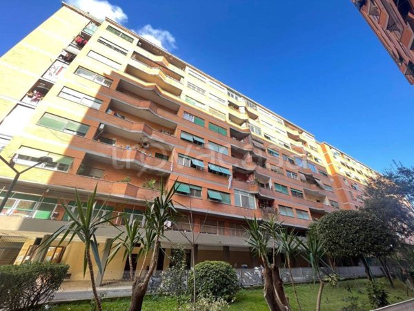 appartamento in affitto a Roma in zona Ostiense