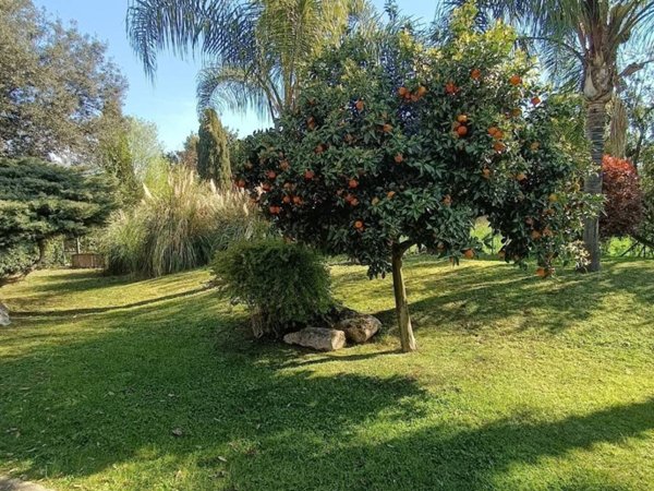 casa indipendente in affitto a Roma in zona Casalotti