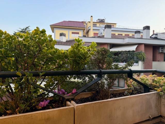 appartamento in affitto a Roma in zona Trionfale