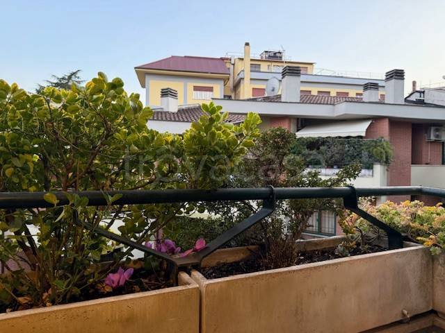 appartamento in affitto a Roma in zona Trionfale