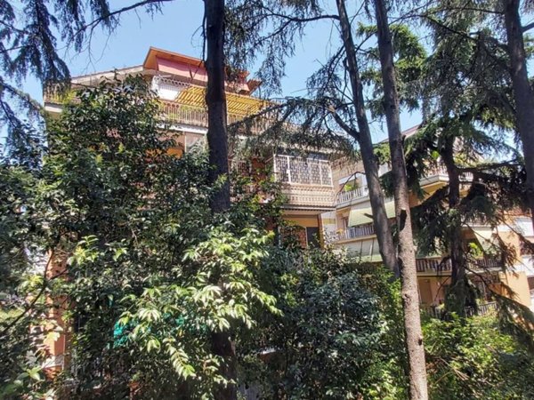 appartamento in affitto a Roma in zona Appio Latino