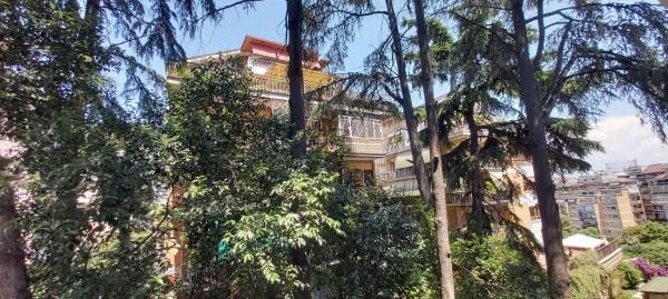 appartamento in affitto a Roma in zona Tuscolano