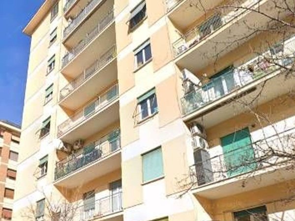 appartamento in affitto a Roma in zona Portuense