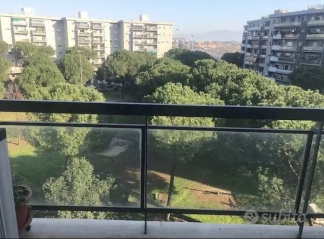 appartamento in affitto a Roma in zona Ponte Mammolo
