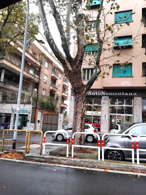 locale commerciale in affitto a Roma in zona Monte Sacro/Talenti