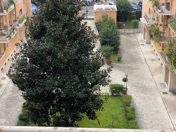 appartamento in affitto a Roma in zona Trieste