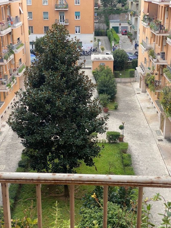 appartamento in affitto a Roma in zona Trieste