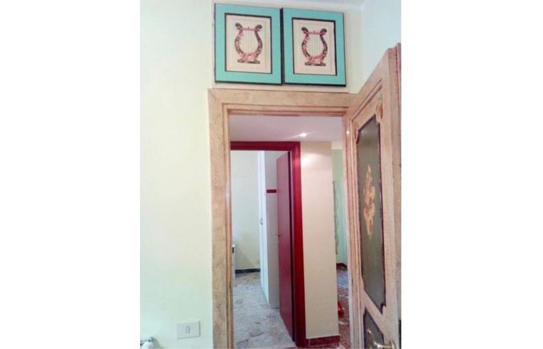 appartamento in affitto a Roma in zona Appio Latino