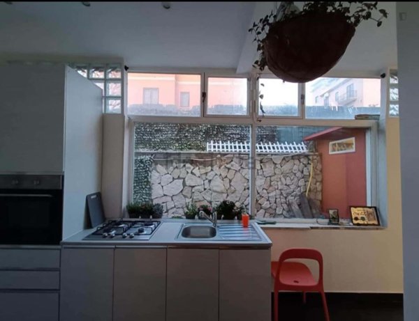 appartamento in affitto a Roma in zona Montespaccato