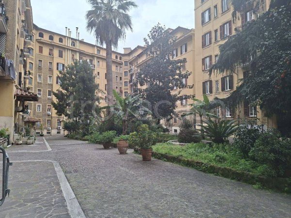 locale commerciale in affitto a Roma in zona Trieste