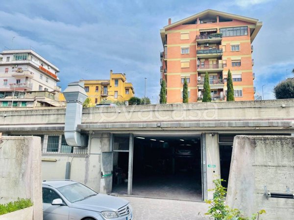 negozio in affitto a Roma in zona Trionfale