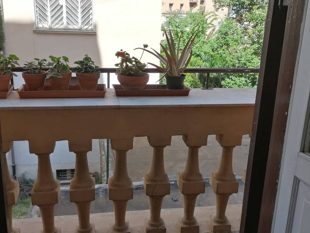 appartamento in affitto a Roma in zona Flaminio
