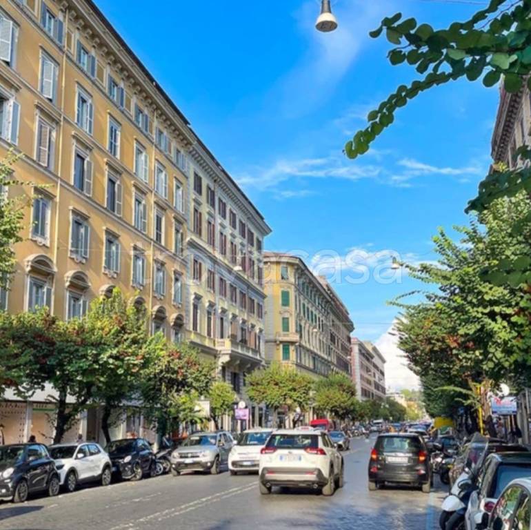 appartamento in affitto a Roma in zona Rione Prati