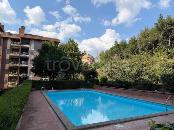 appartamento in affitto a Roma in zona Torrino