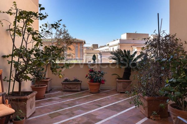 appartamento in affitto a Roma in zona Campo Marzio
