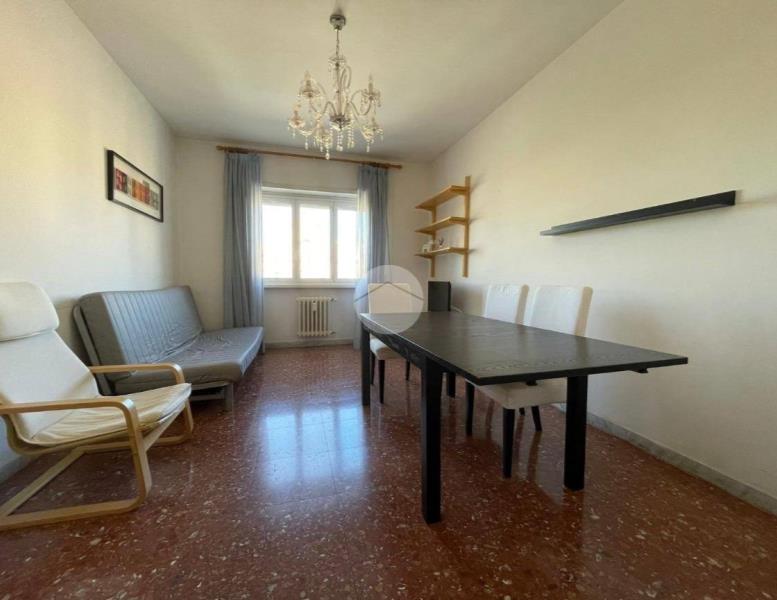 appartamento in affitto a Roma in zona Monte Sacro/Talenti
