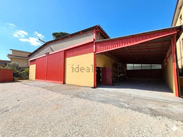 loft in affitto a Roma in zona Grottarossa