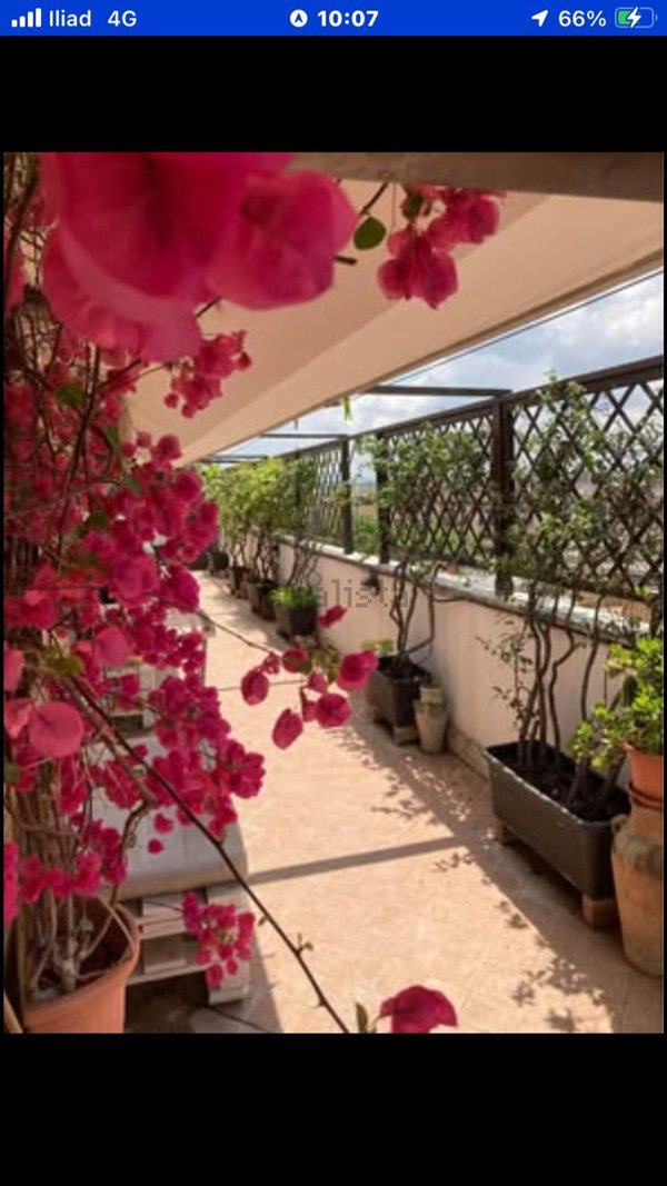 casa indipendente in affitto a Roma in zona Portuense