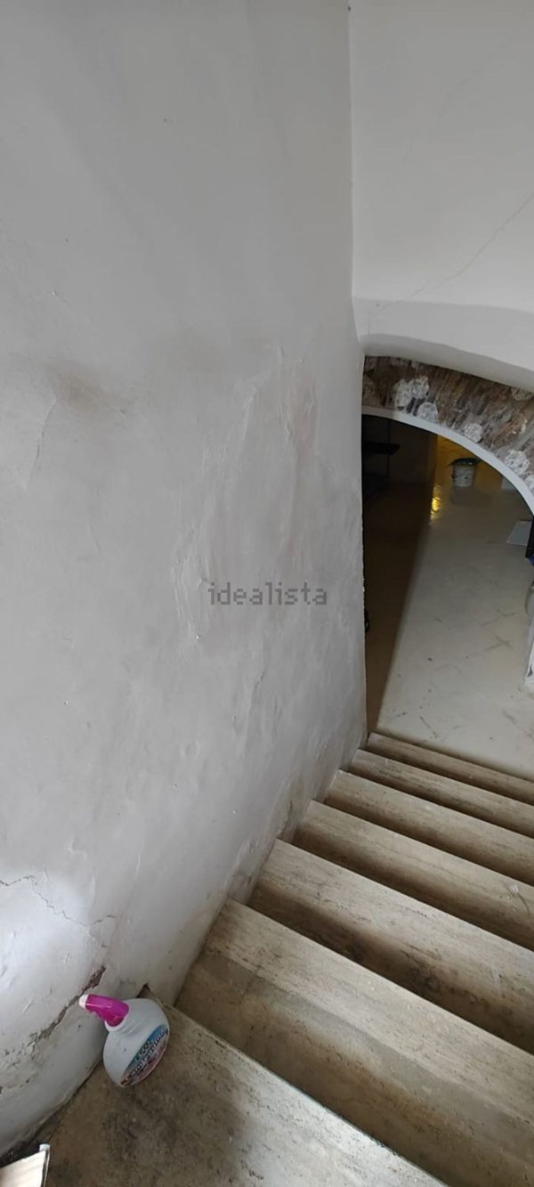 appartamento in affitto a Roma in zona Campo Marzio