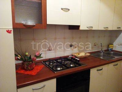 appartamento in affitto a Roma in zona Castro Pretorio