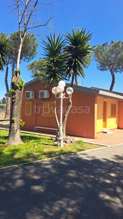 appartamento in affitto a Roma in zona Massimina/Casal Lumbroso