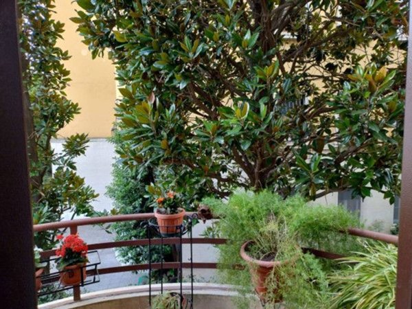 appartamento in affitto a Roma in zona Pinciano