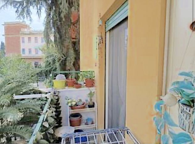 appartamento in affitto a Roma in zona Monte Sacro/Talenti