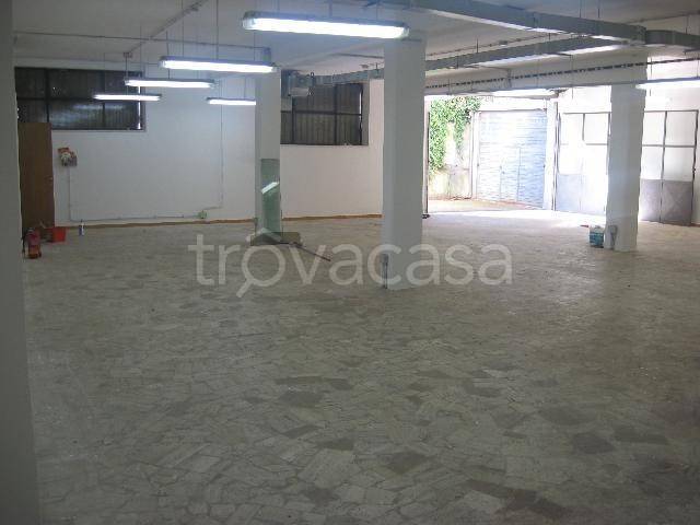 negozio in affitto a Roma in zona Torre Gaia