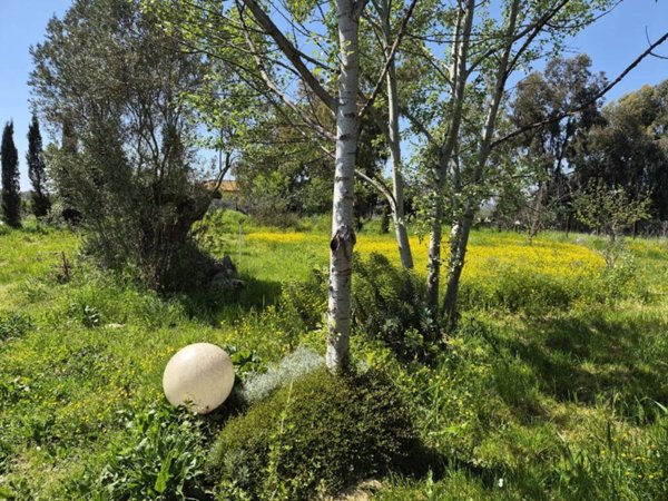 casa indipendente in affitto a Roma in zona Appio Claudio
