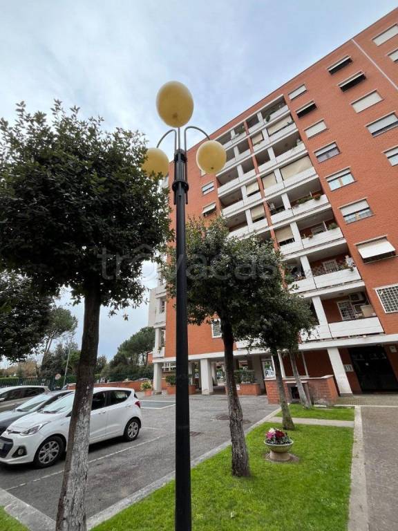 appartamento in affitto a Roma in zona Ponte Mammolo