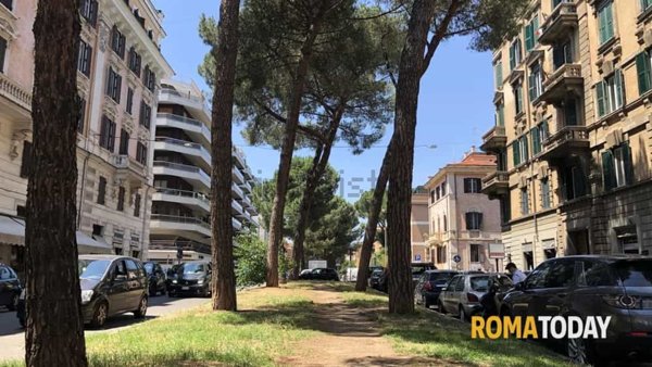 appartamento in affitto a Roma in zona Trieste