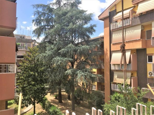 appartamento in affitto a Roma in zona Monte Sacro/Talenti