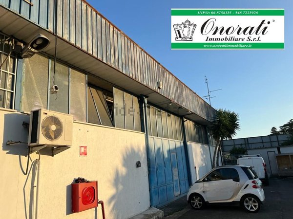 capannone in affitto a Roma in zona Torre Angela