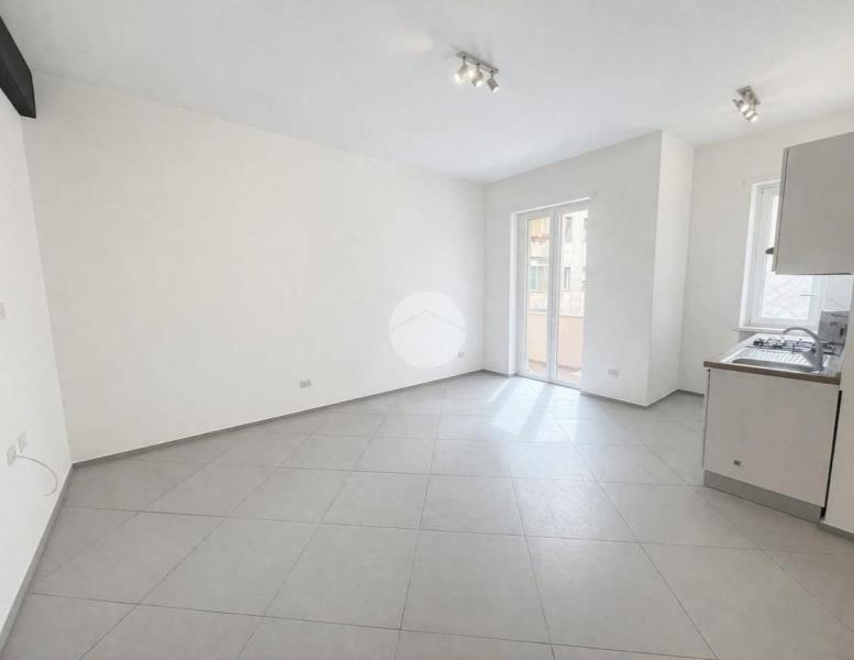 appartamento in affitto a Roma in zona Flaminio