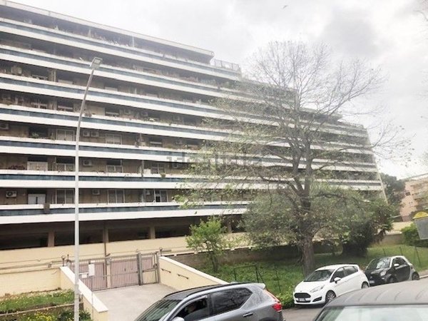 appartamento in affitto a Roma in zona Spinaceto
