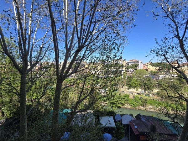 appartamento in affitto a Roma in zona Monte Sacro/Talenti