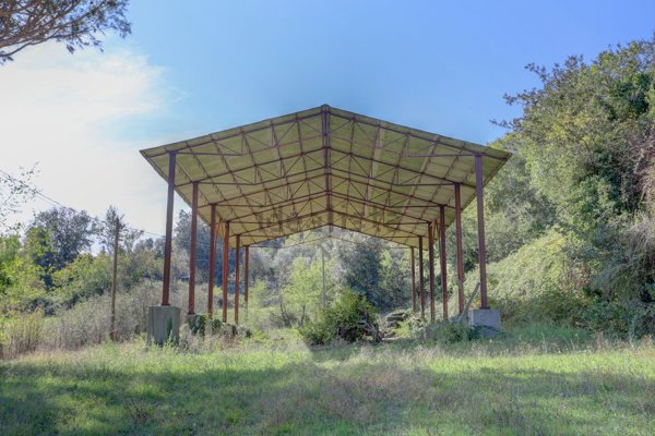 terreno agricolo in affitto a Roma in zona Aurelio