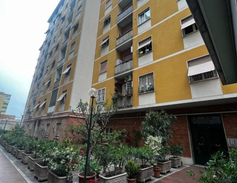 appartamento in affitto a Roma in zona Campo Marzio