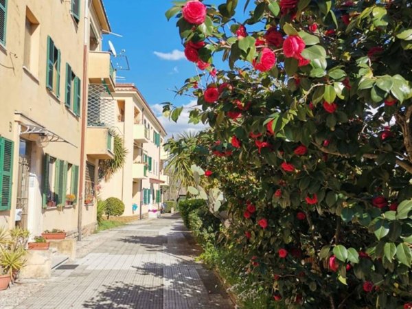 appartamento in affitto a Roma in zona Monte Sacro/Talenti