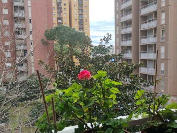 appartamento in affitto a Roma in zona Collatino