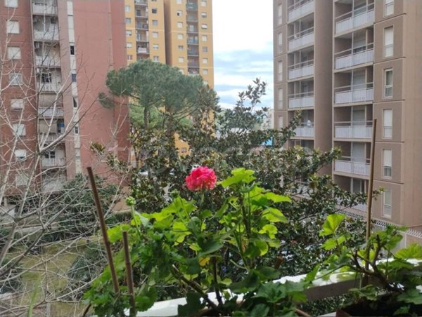 appartamento in affitto a Roma in zona Collatino