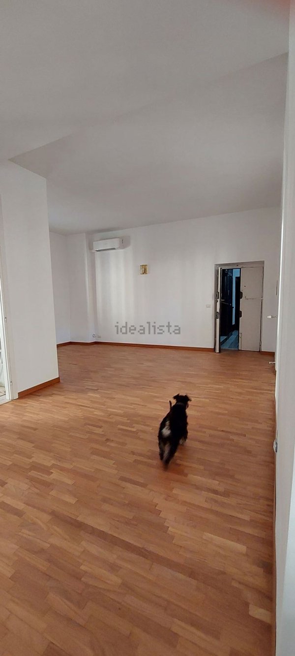 appartamento in affitto a Roma in zona Campo Marzio