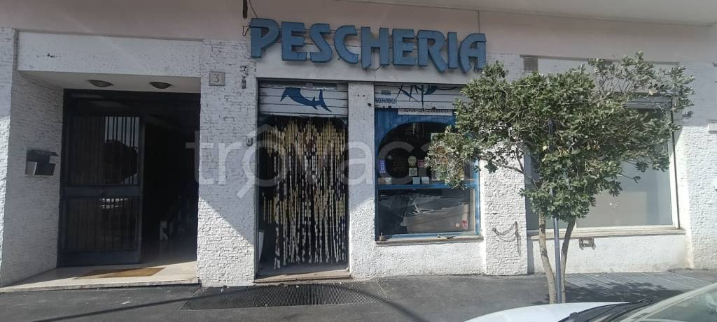 negozio in affitto a Roma in zona Portuense