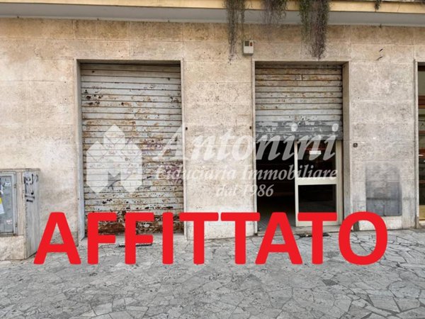 appartamento in affitto a Roma in zona Trieste